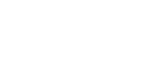 ICAN Institute
